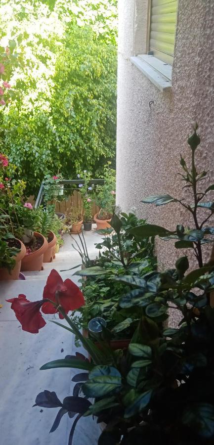 Aegina'S Flowers House Bagian luar foto