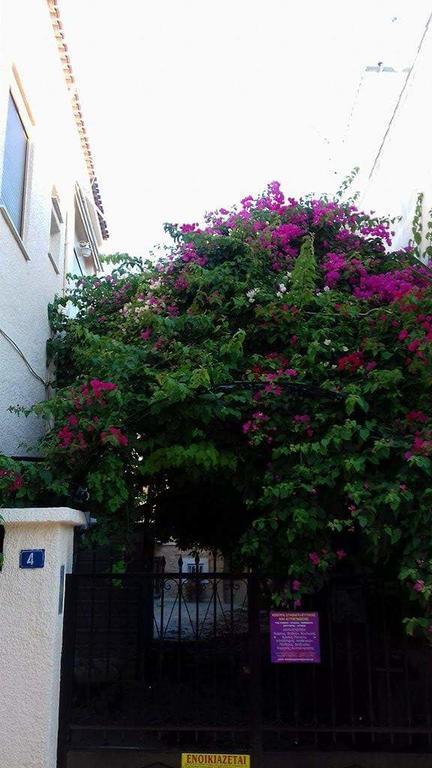 Aegina'S Flowers House Bagian luar foto