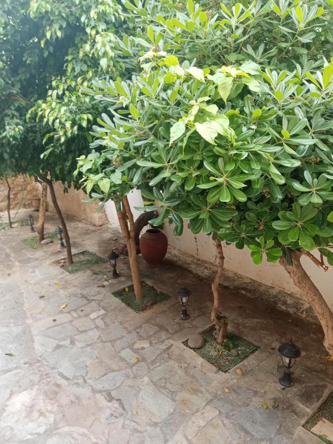 Aegina'S Flowers House Bagian luar foto